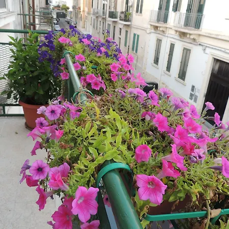 Amelie Lecce