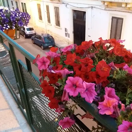 Amelie Lecce